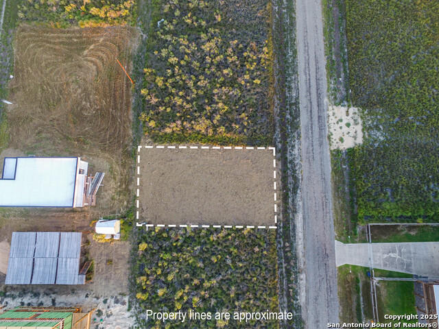 Listing photo id 6 for 290 West Live Oak Ln