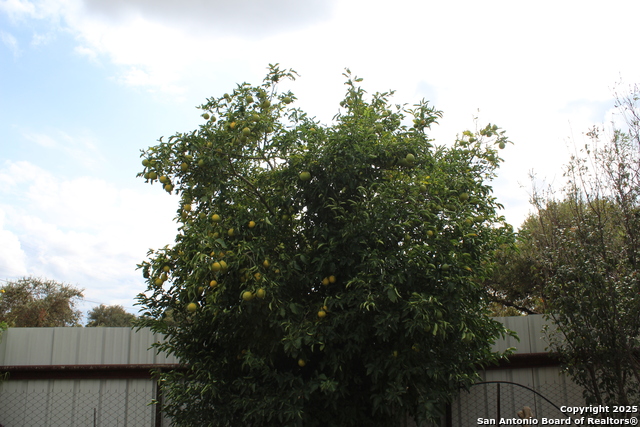 Image 24 of 24 For 406 County Road 6850 1