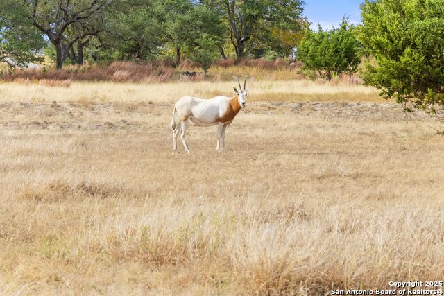 Image 21 of 25 For Tbd Star Point Cir