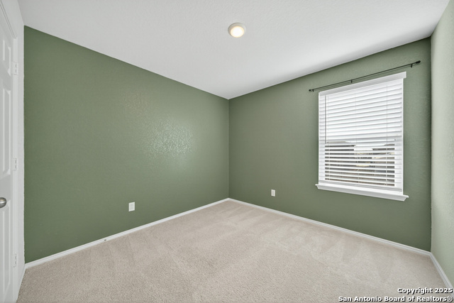 Image 20 of 27 For 418 Russian Sage