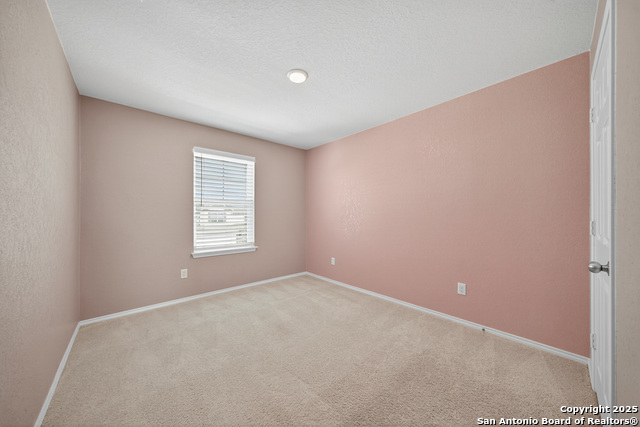 Image 21 of 27 For 418 Russian Sage