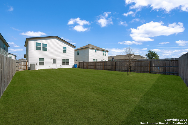 Image 25 of 27 For 418 Russian Sage