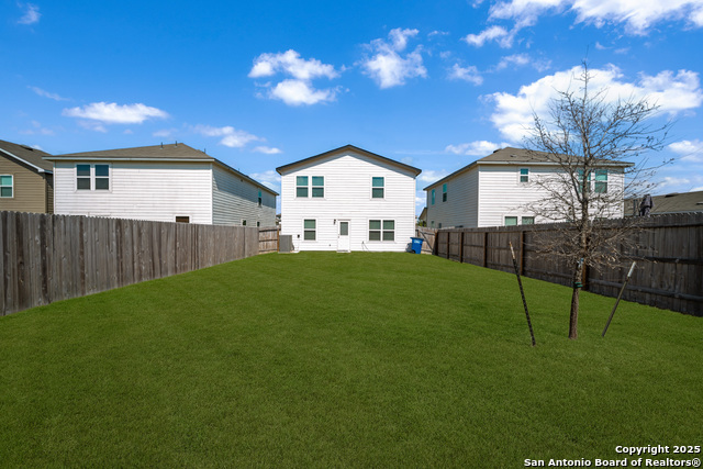 Image 26 of 27 For 418 Russian Sage