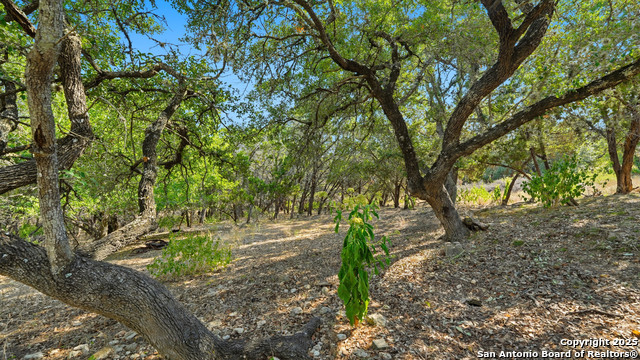 Image 29 of 33 For 343 Sir Winston