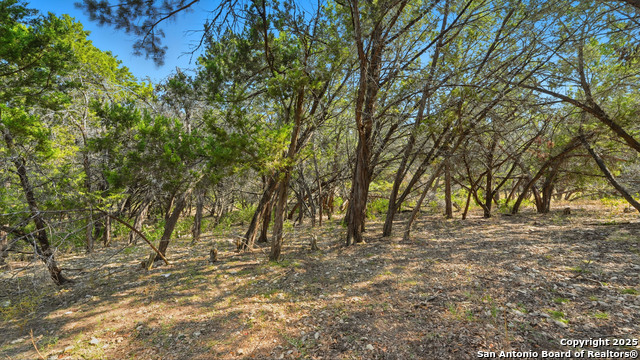 Image 30 of 33 For 343 Sir Winston