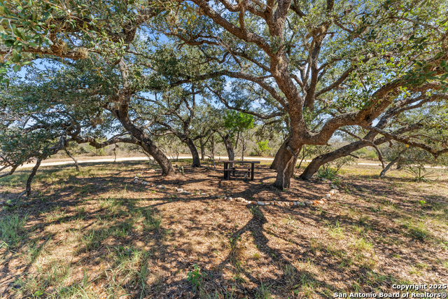 Image 19 of 21 For 1918 County Road 467