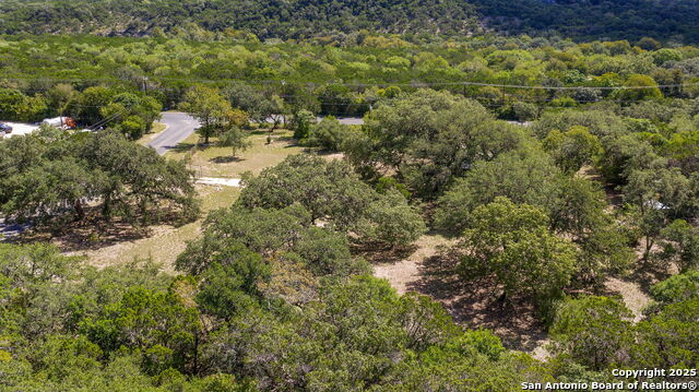 Image 16 of 26 For 10096 Whip O Will