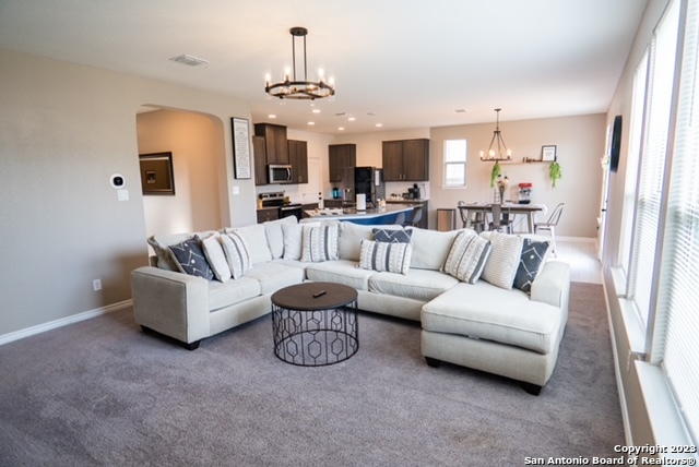 Image 4 of 8 For 11205 Amberina