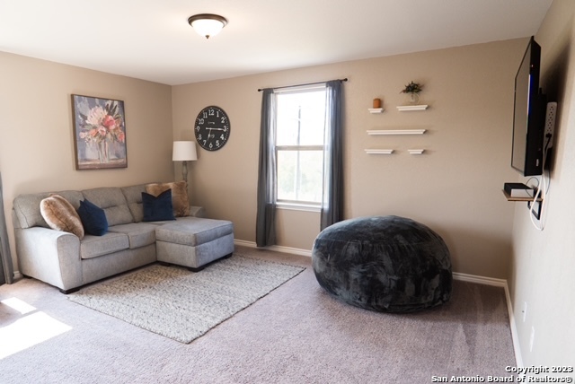 Image 6 of 8 For 11205 Amberina