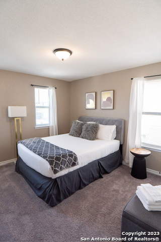 Image 7 of 8 For 11205 Amberina