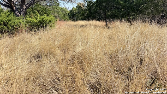 Image 12 of 13 For 325 Gabe Rd.