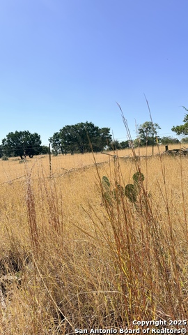 Image 13 of 13 For 325 Gabe Rd.