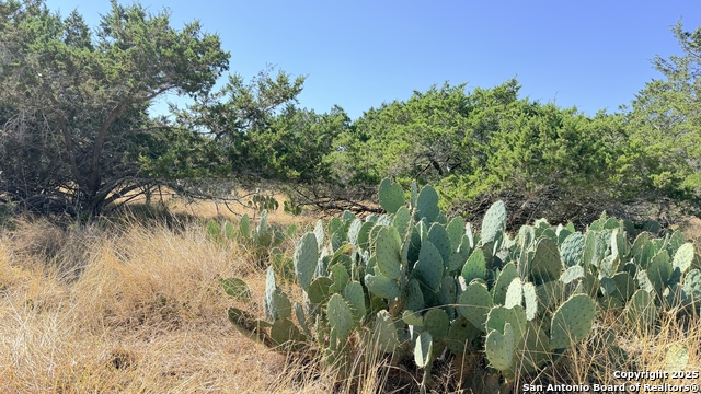 Image 9 of 13 For 325 Gabe Rd.