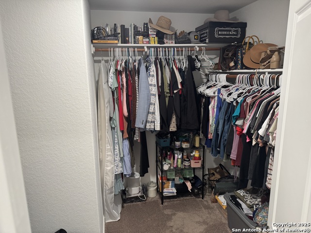 Image 13 of 13 For 100 Maverick