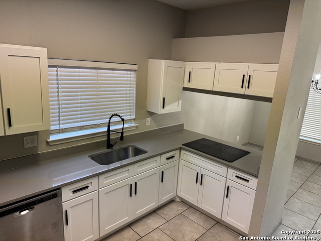 Image 8 of 22 For 9730 Silver Moon