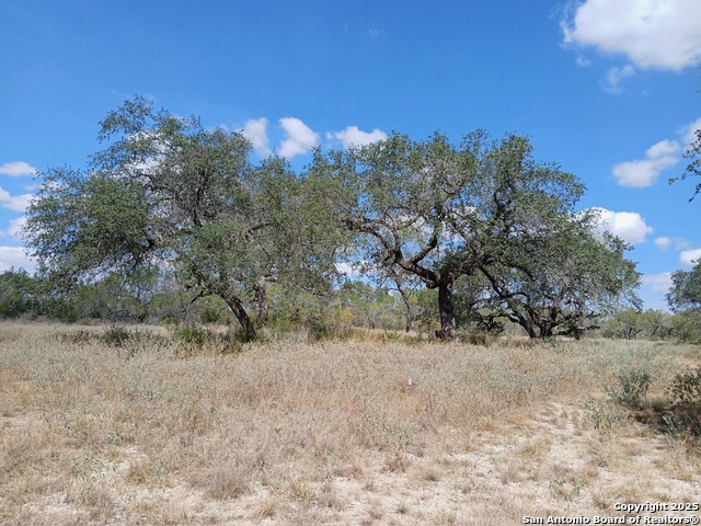 Listing photo id 0 for 4415 State Highway 173