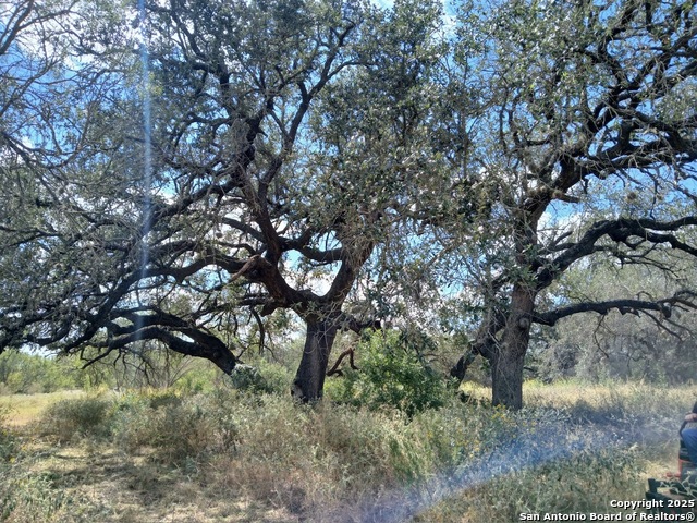 Listing photo id 1 for 4415 State Highway 173