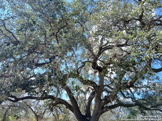 Listing photo id 2 for 4415 State Highway 173