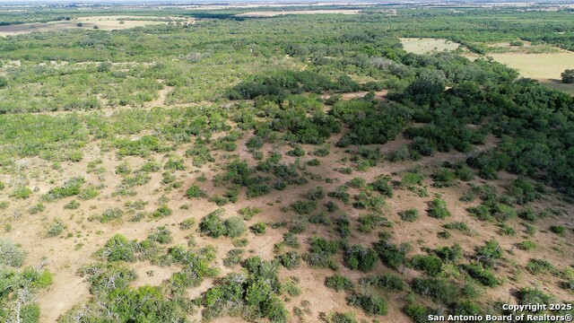 Image 10 of 51 For 199 Acres Cr 252