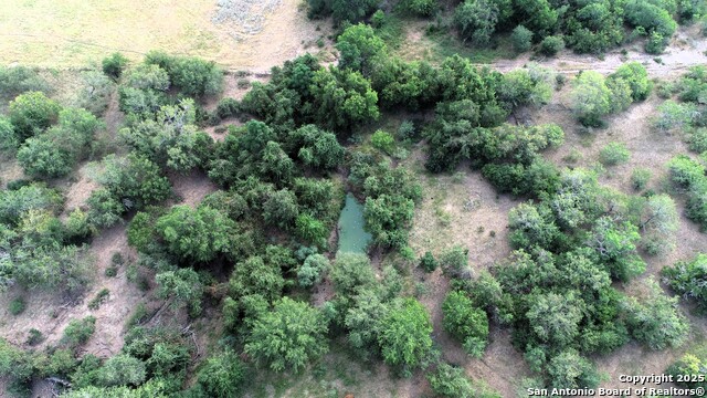 Image 13 of 51 For 199 Acres Cr 252