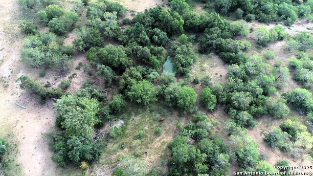 Image 14 of 51 For 199 Acres Cr 252