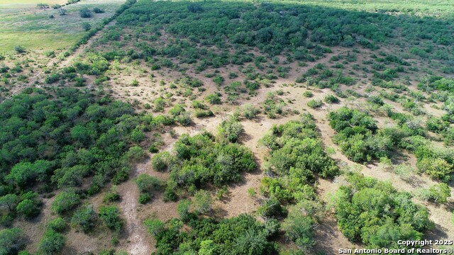 Image 15 of 51 For 199 Acres Cr 252