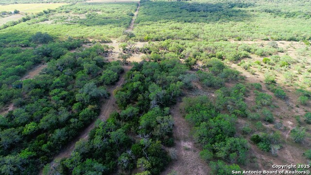 Image 16 of 51 For 199 Acres Cr 252