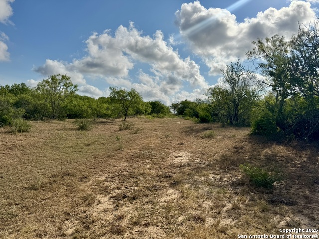 Image 18 of 51 For 199 Acres Cr 252