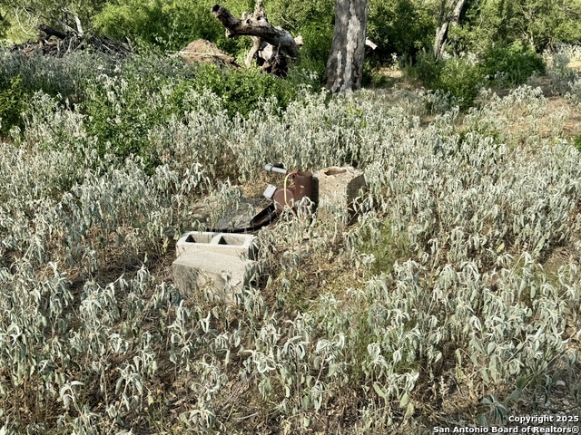 Image 20 of 51 For 199 Acres Cr 252