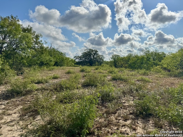 Image 22 of 51 For 199 Acres Cr 252