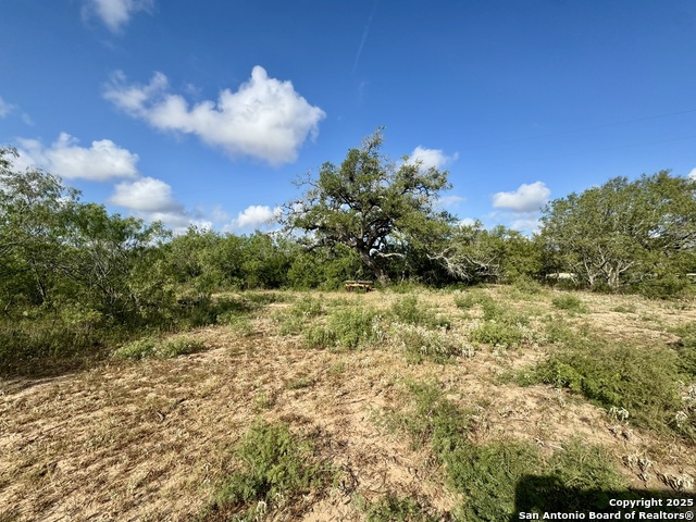 Image 23 of 51 For 199 Acres Cr 252