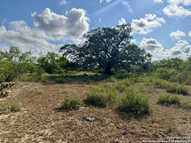 Image 25 of 51 For 199 Acres Cr 252