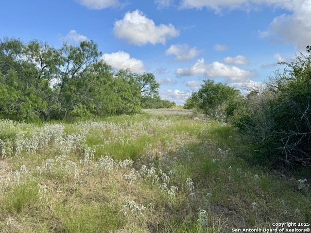 Image 26 of 51 For 199 Acres Cr 252