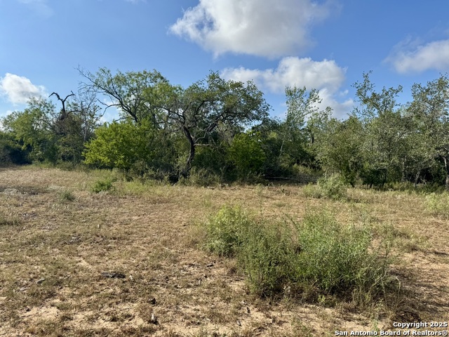 Image 28 of 51 For 199 Acres Cr 252