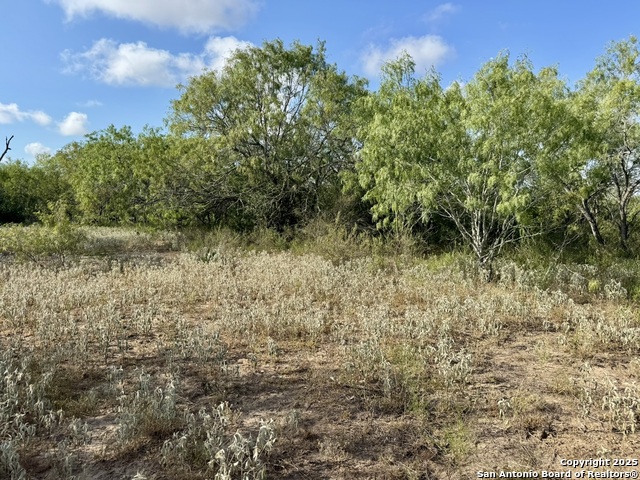 Image 29 of 51 For 199 Acres Cr 252