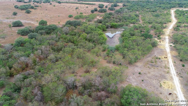 Image 3 of 51 For 199 Acres Cr 252