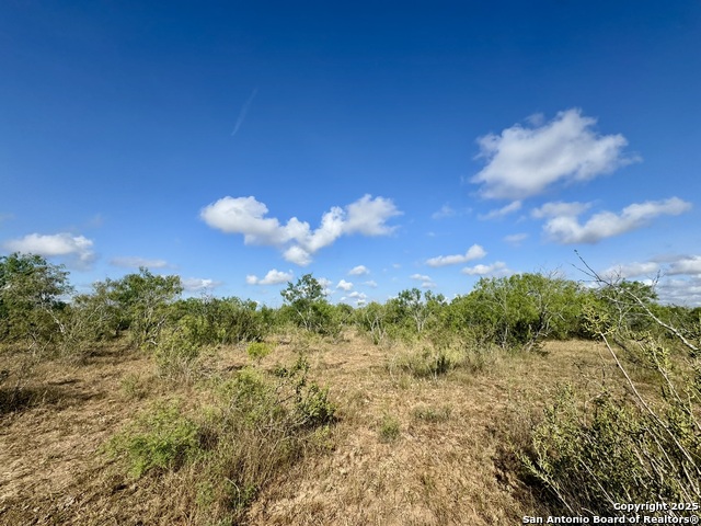 Image 30 of 51 For 199 Acres Cr 252