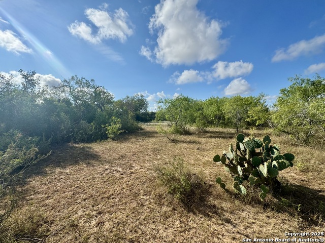 Image 32 of 51 For 199 Acres Cr 252