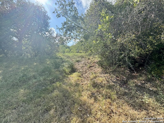 Image 34 of 51 For 199 Acres Cr 252