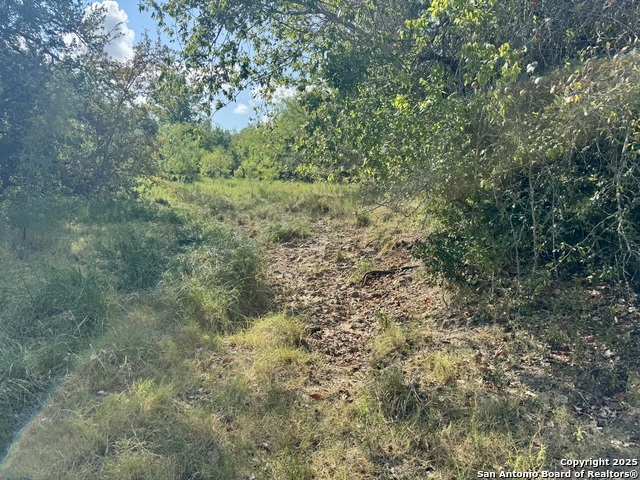 Image 35 of 51 For 199 Acres Cr 252