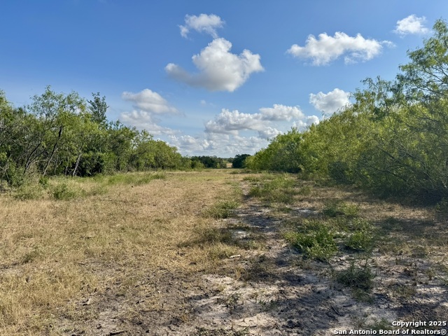 Image 39 of 51 For 199 Acres Cr 252