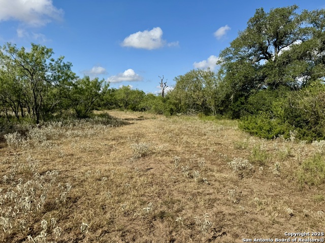 Image 41 of 51 For 199 Acres Cr 252