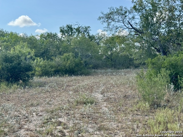 Image 44 of 51 For 199 Acres Cr 252