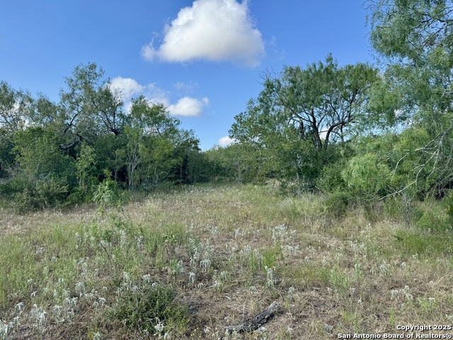 Image 45 of 51 For 199 Acres Cr 252