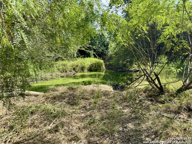 Image 47 of 51 For 199 Acres Cr 252