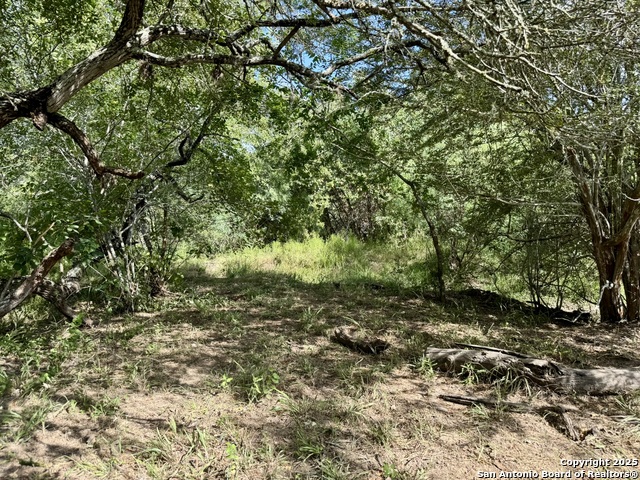 Image 48 of 51 For 199 Acres Cr 252