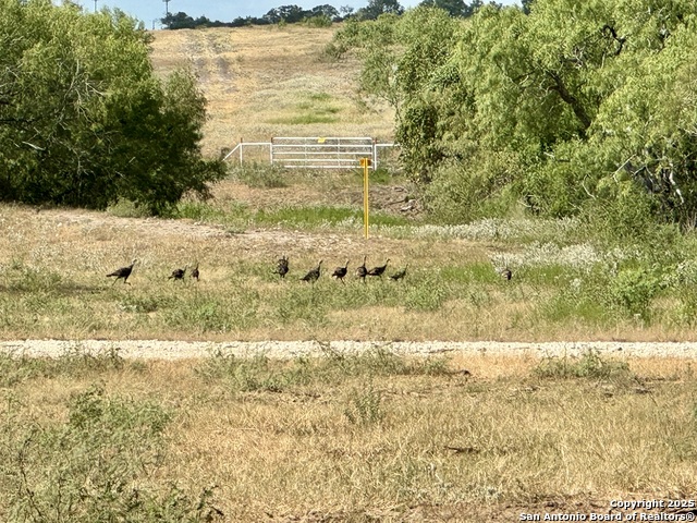 Image 49 of 51 For 199 Acres Cr 252