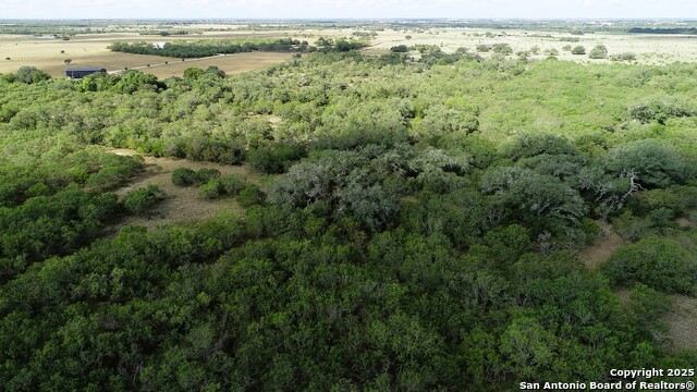 Image 6 of 51 For 199 Acres Cr 252