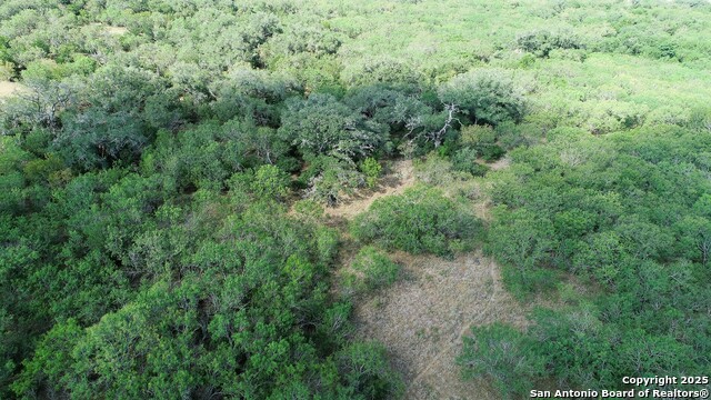 Image 7 of 51 For 199 Acres Cr 252