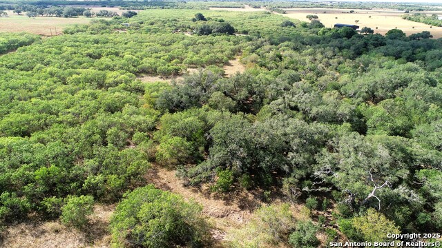 Image 8 of 51 For 199 Acres Cr 252